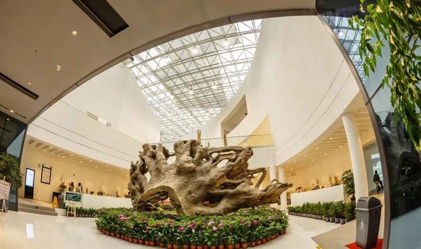 WDCM上传图片 WDCM上传图片
